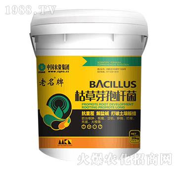 �ݲ�ѿ�ߗU��-���r