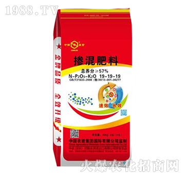 �������19-19-19-���r(n��ng)