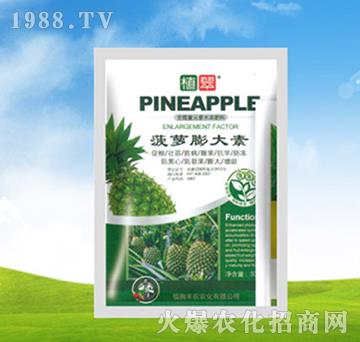 菠蘿膨大素-植翠-豐農(nóng)農(nóng)化