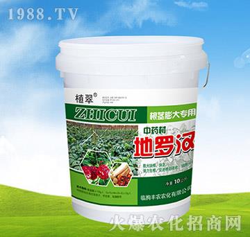 中藥材根莖膨大專(zhuān)用-地羅漢-豐農(nóng)農(nóng)化