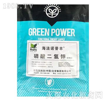 ��������-�����Z���S-����