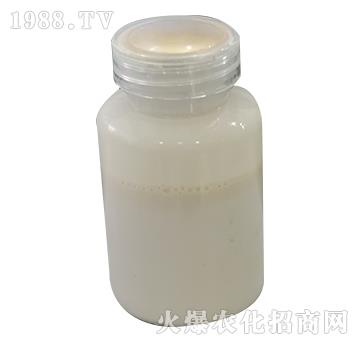 �~���}-���P����