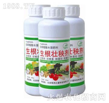 �������턩-�G��֮��