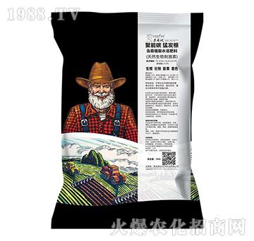 含腐植酸水溶肥料-聚能碳猛發(fā)根-園利元