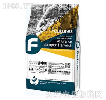 ����13.5-0-46-�@��Ԫ