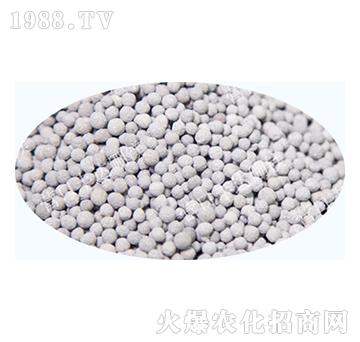 �V���w��-�S�_(d��)��