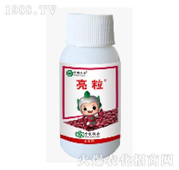 600��ÿ�����x��-��