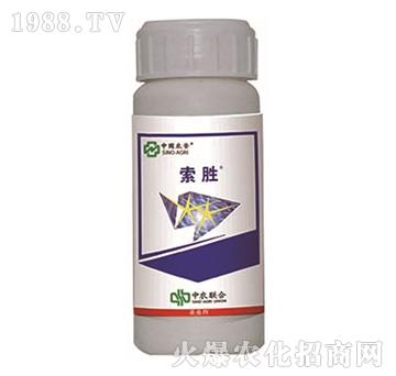 3.4%�׾S�}-����-