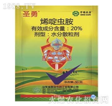 20%ϩ��x��-ʥ��-