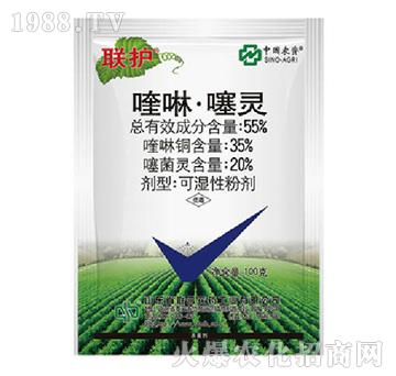 55%���������`-(li��n)