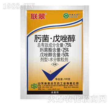 75%뿾�������-(li��n)��-���r(n��ng)(li��n)��