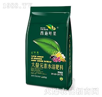 平衡型大量元素水溶肥料19-19-19+TE-葉果生物