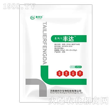 豐達(dá)-泰利爾