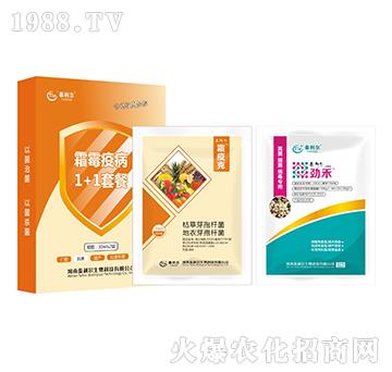 霜霉疫病1+1套餐-泰利爾