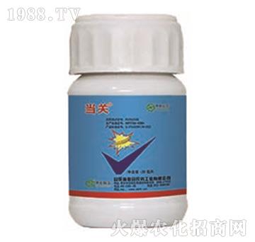 24%�����x����+5%���S����-��(d��ng)�P(gu��n)-���r(n��ng)(li��n)��