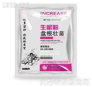 �P(p��n)������������-��˼�D