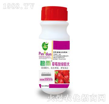 ��ݮ�žG���-����-��