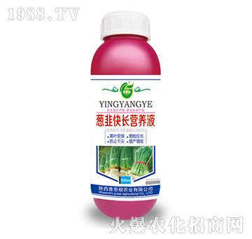 �[�¿��L(zh��ng)�I(y��ng)�B(y��ng)Һ-��˼�D