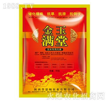 ���׌�(zhu��n)��Ԫ��-����M��