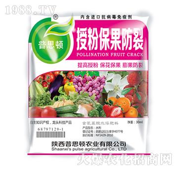 �ڷ۱�������-��˼�D�r(n��ng)