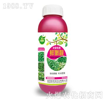 �~�ˌ�(zhu��n)���r���n-��˼�D