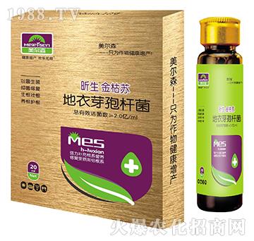 ����ѿ�ߗU��-������