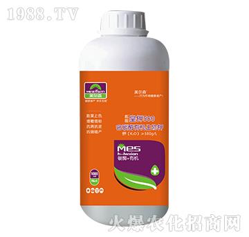 ��̼ø�ЙC(j��)�����-����