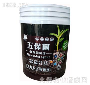 微生物菌劑-五保菌-開墾牛
