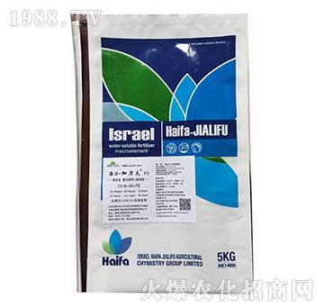 ����͏ͺϷ���13-6-40+TE-����������1̖-����������