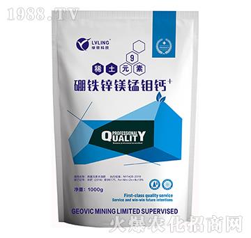 ���F�\�V�i�f�}+-�A�˱���