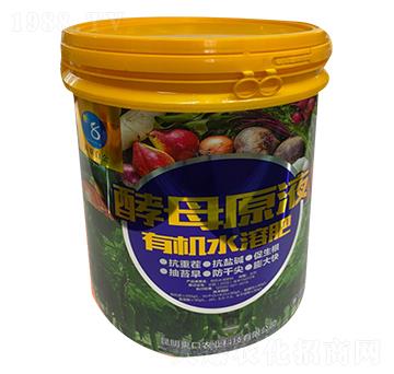 �ЙC(j��)ˮ�ܷ���-��ĸԭҺ-�µ����