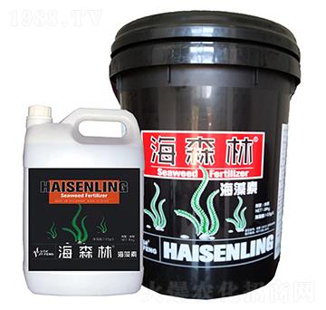 ��ɭ��-�����S