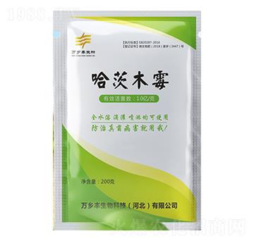 ����ľù-�f�l(xi��ng)�S����