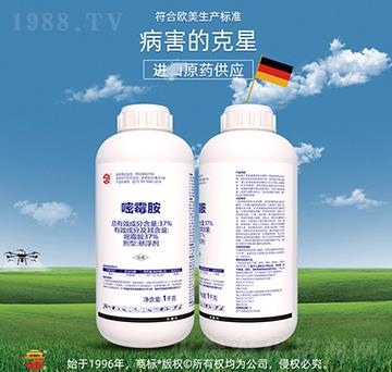 37%��ù��-��ռ�r�Y