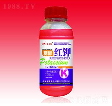 �Ǵ��t�-�������