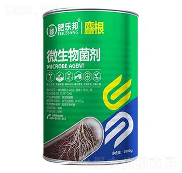 微生物菌劑-麤根-易多收