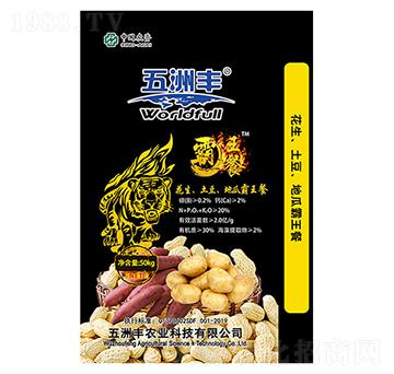 �����󶹵عϰ�����-��