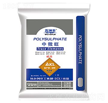 ��΢��-�����S