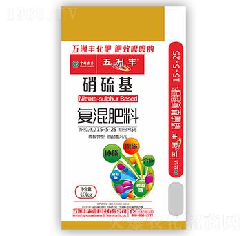 ������ͻ����15-5