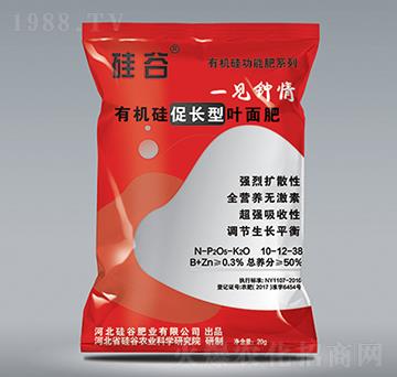 �ЙC(j��)����L(zh��ng)���~���-��