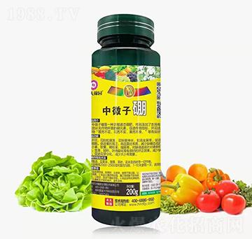 ��΢����-�r(n��ng)��ڈ@