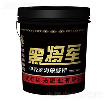 �ך��غ������-�ڌ�܊