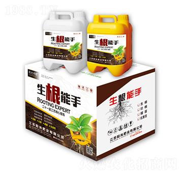 ��������-ꖹ�_��-�