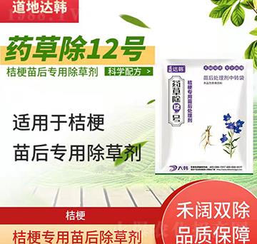 �۹����݄�-�۹����-�۹����-ˎ�ݳ�12̖-���n