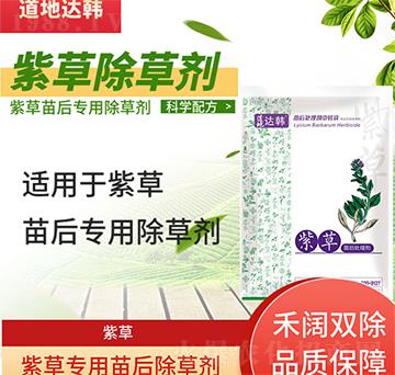 �ϲݳ��݄�-�ϲ����-�ϲ݌���-���n