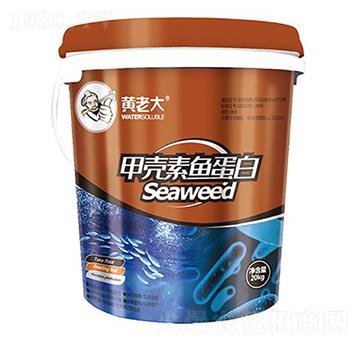 �ך����~����-�S�ϴ�-