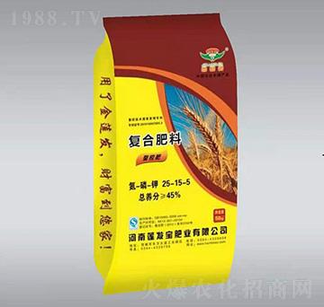 ���؏ͺϷ���25-15-5-ɏ�l(f��)��