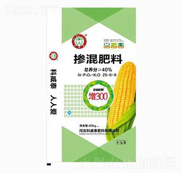 �������25-6-9-����̩