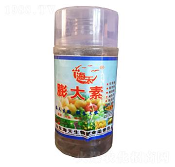 �����-��������