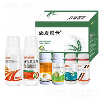 ���ļZ�}(c��ng)��ʮ���أ�-�S�՘�